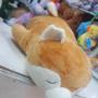 Peluches