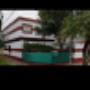 Mirasoles  imagenes