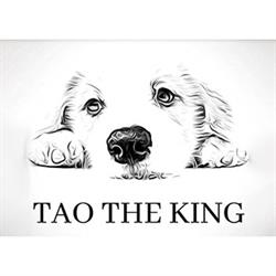 Tao The King
