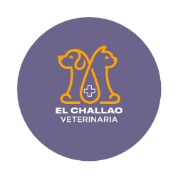 Veterinaria a domicilio El Challao