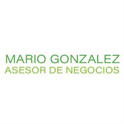 Asesor de Negocios Online