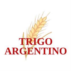 Trigo Argentino