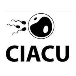 Ciacu