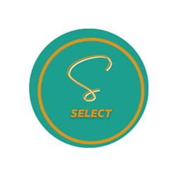 Select Consultoria de Rrhh