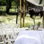 Estancia El Cencerro Eventos