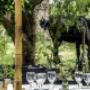 Estancia El Cencerro Eventos