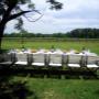 Estancia El Cencerro Eventos