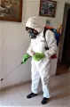 FUMIGACION TUCUMAN