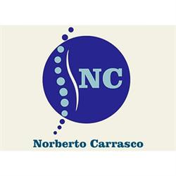 CARRASCO REHABILITACION VETERINARIA INTEGRAL
