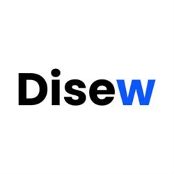 Disew - Agencia de Diseño Web en Argentina