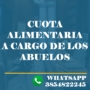 cuota alimentaria alimentos proteccion de personas mediaciones familia divorcios reconocimiento pate