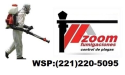 Zoom Fumigaciones
