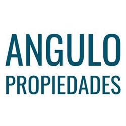 Angulo Propiedades