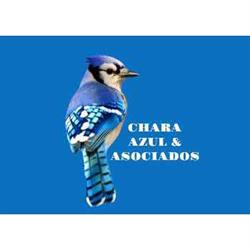 Chara Azul & Asociados