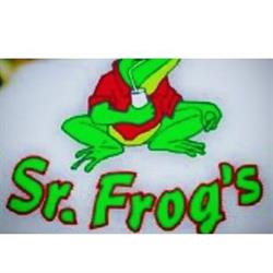 SR. FROG´S CHACRAS