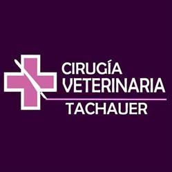 Cirugía Veterinaria Mar del Plata