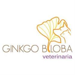 Veterinaria Ginkgo Biloba