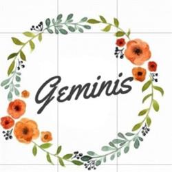 Geminis