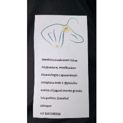 Kinesio y medicina china a domicilio zona sur