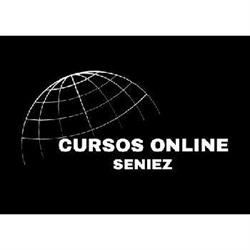Cursos Online con Salida Laboral Seniez
