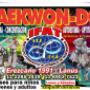 Clases de Taekwondo