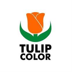Tulip Color