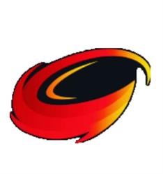 FESTA PROGRAMS