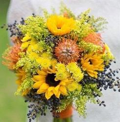 Floreria Amancay