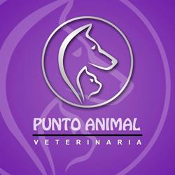 Veterinaria Punto Animal