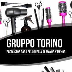 Gruppo Torino Santa Fe 3074