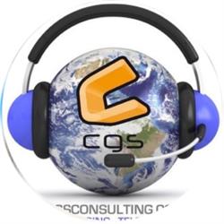 Cgs Consulting