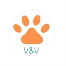 V&V