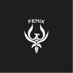Fénix Matafuegos Seguridad Contra Incendios