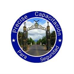 Precise Capacitación para Seguridad