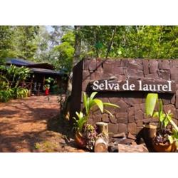 Hotel Selva del Laurel