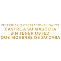 Veterinario Castraciones Gatos Castre a Su Mascota sin Tener Usted Que Moverse de Su Casa