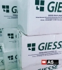 GIESSE