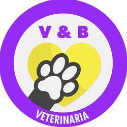 Veterinaria V&B