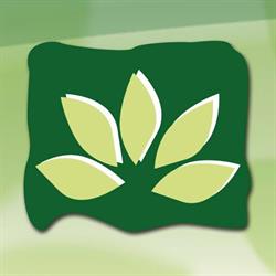 Farmacia 9 de Julio II