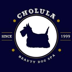 Cholula