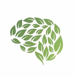 Psi Mental Salud