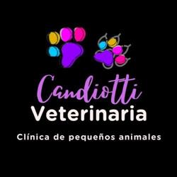 Clinica de Pequeños Animales Candiotti