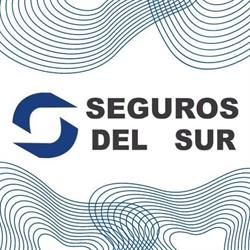 Seguros Del Sur