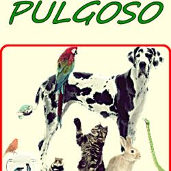 Pulgoso
