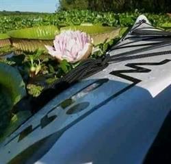 Weir Kayaks