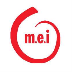 Fundacion Mujeres En Igualdad