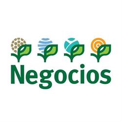 Negocios de Hacienda