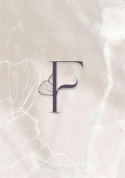 Fly indumentaria Danza