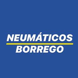 Neumáticos Borrego