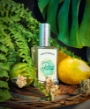 Paraná Perfumes